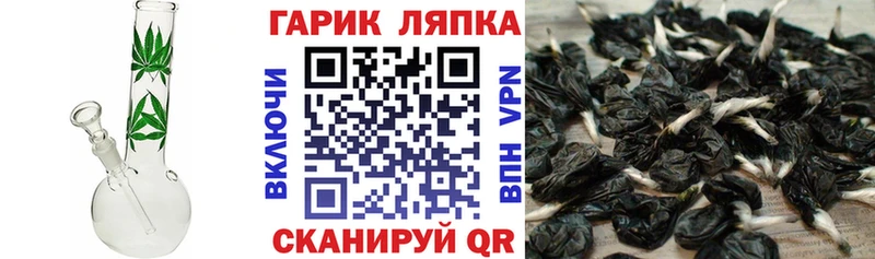 ГАШ Изолятор Злынка