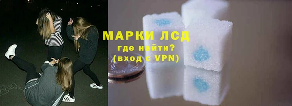 индика Алзамай