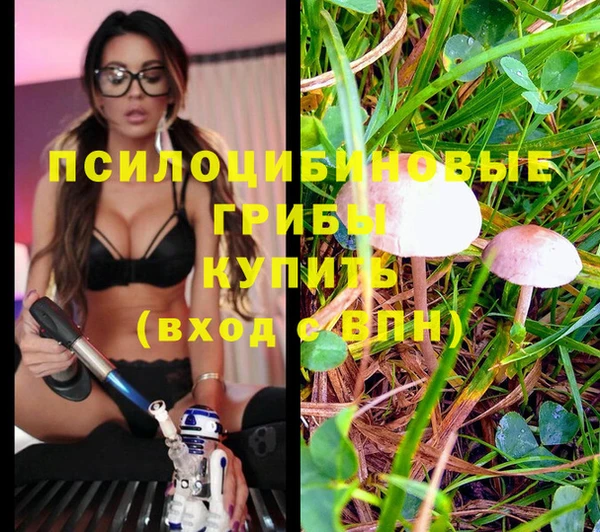 экстази Алексин