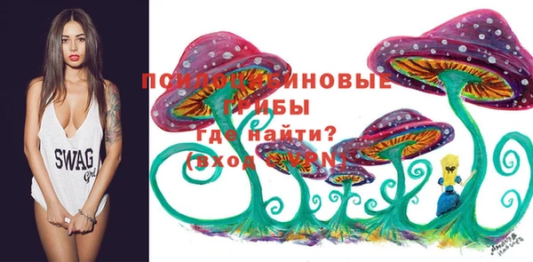 экстази Алексин