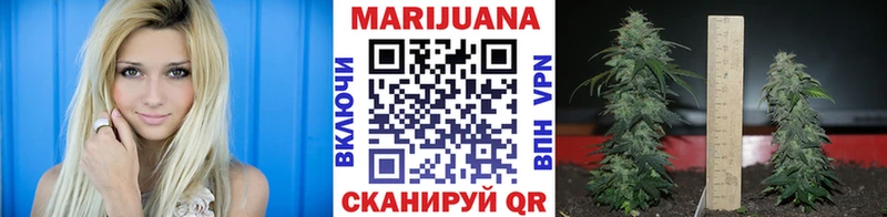 что такое наркотик  MEGA зеркало  Канабис VHQ  Злынка 